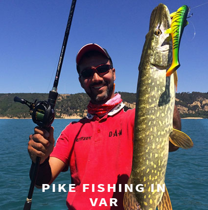 Pike fishing in Var